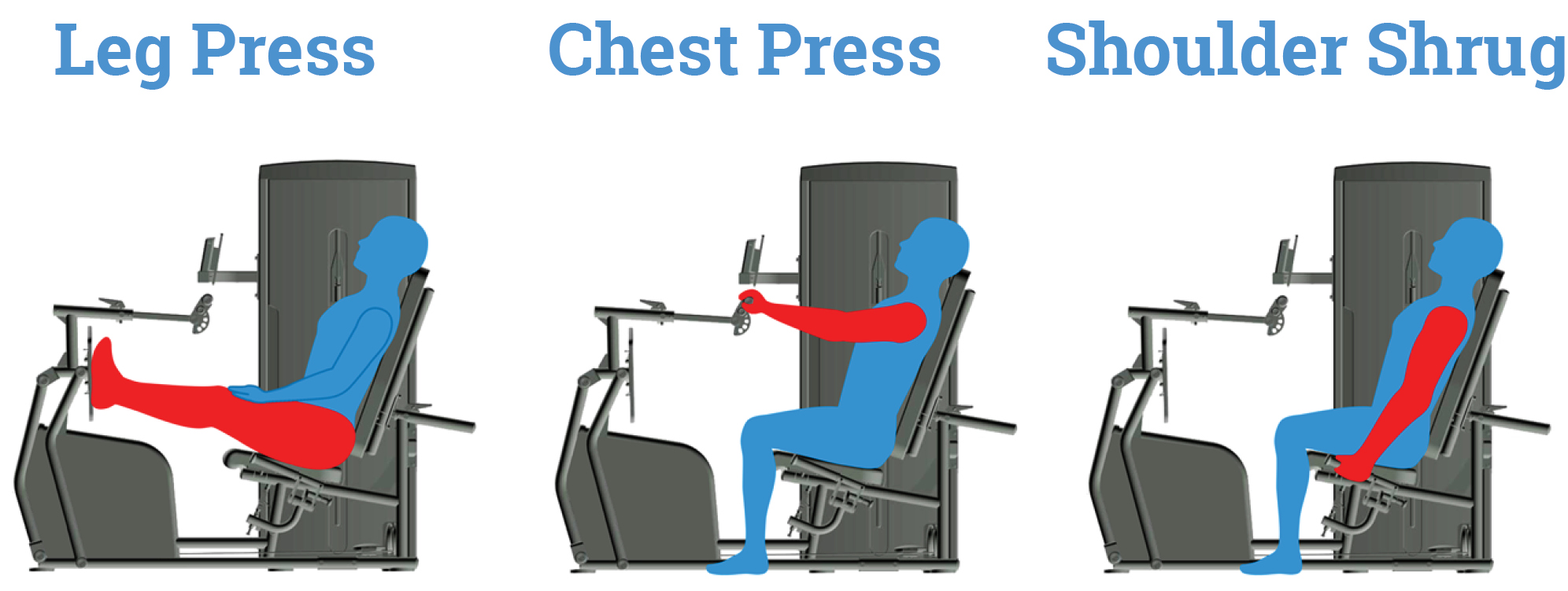Leg Press – Chest Press – Shoulder Shrug – Labeled Roboto Slab Heading Leg Press - Chest Press - Shoulder Shrug