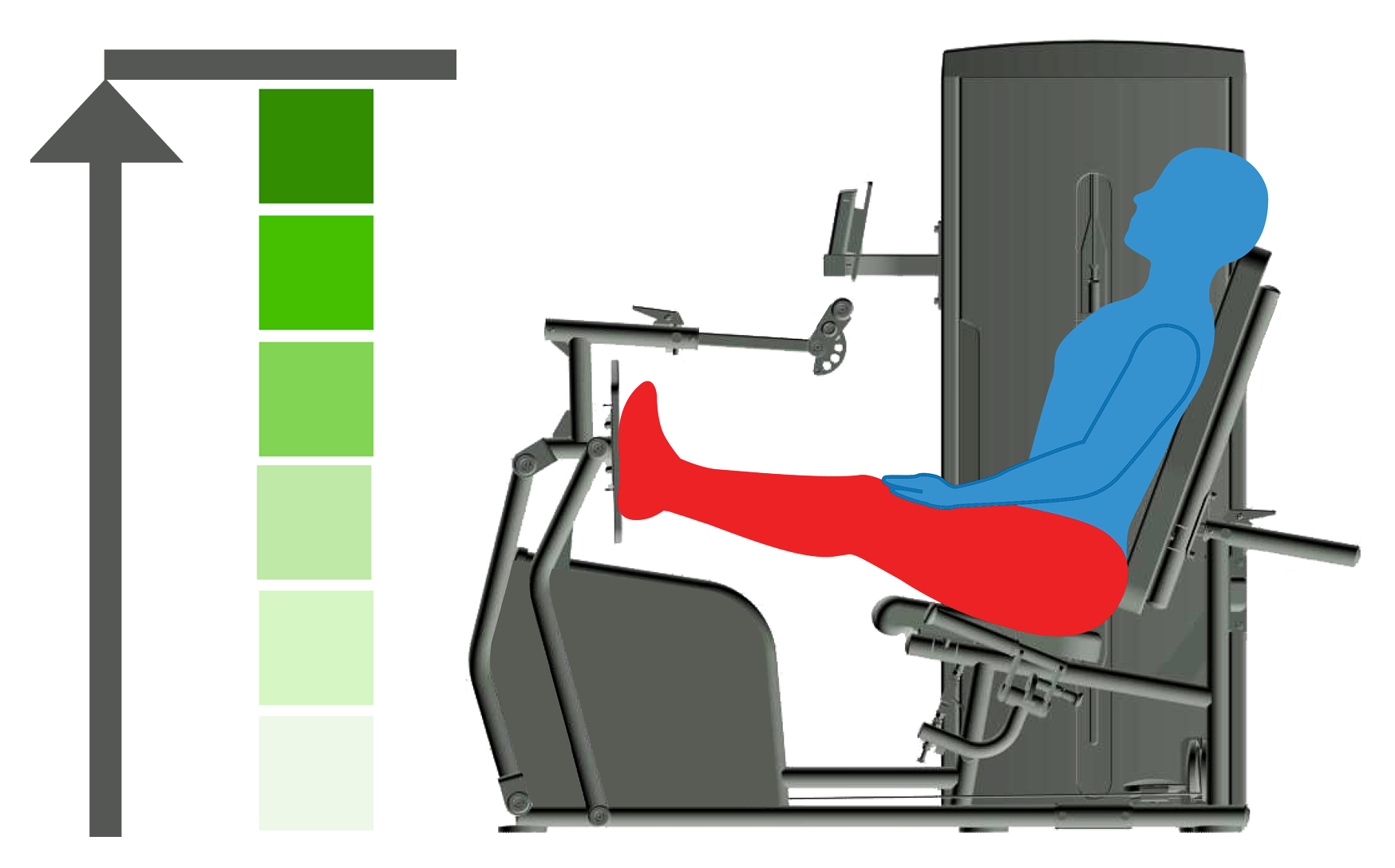 Strength Testing & Endurance Training – Strength Testing Image